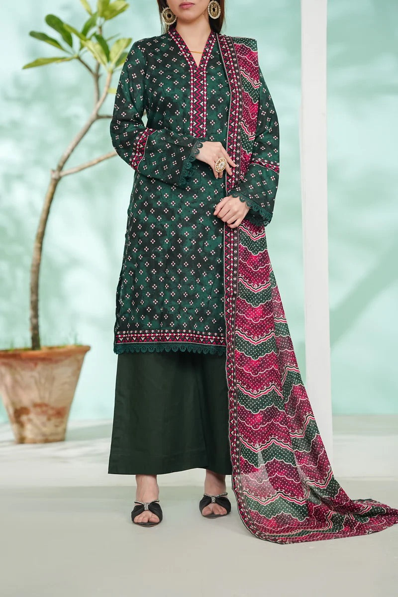 DAMAN LAWN