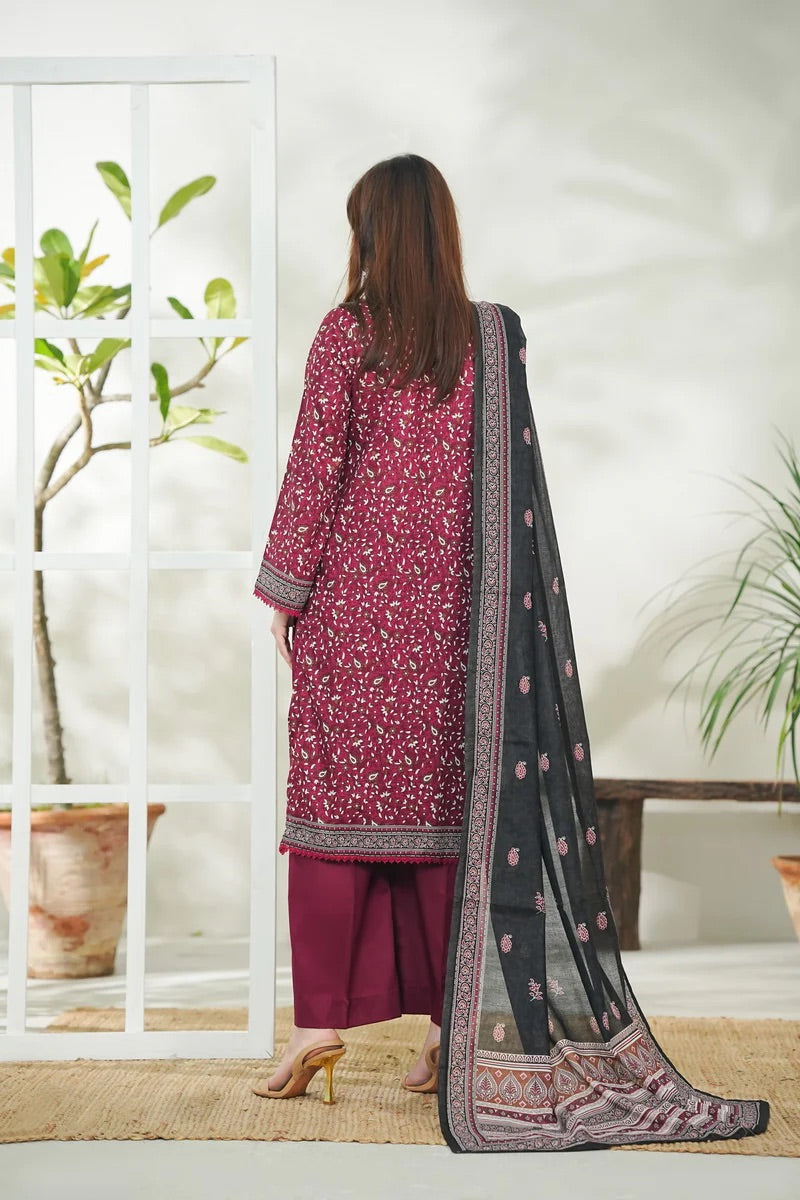 DAMAN LAWN